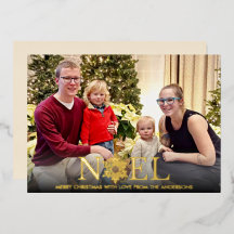 Noel Snowflake Merry Folie Holiday Card