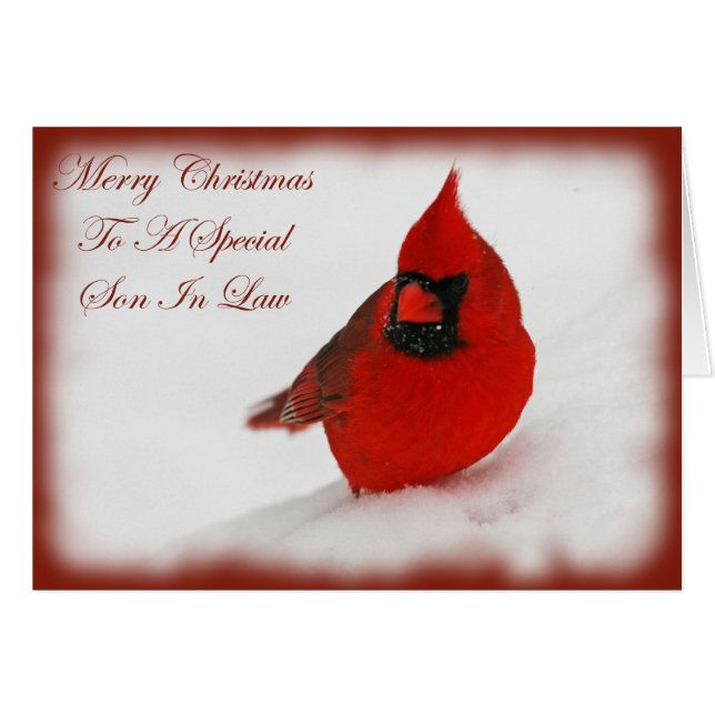 Noël Souhaite Cardinal Son In Law (Devant horizontal)