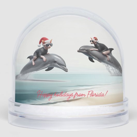 Noël Sphynx équitation Dauphin (Avant)