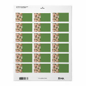 Noël Stocking Kitty Étiquettes de adresse (Feuille entière)