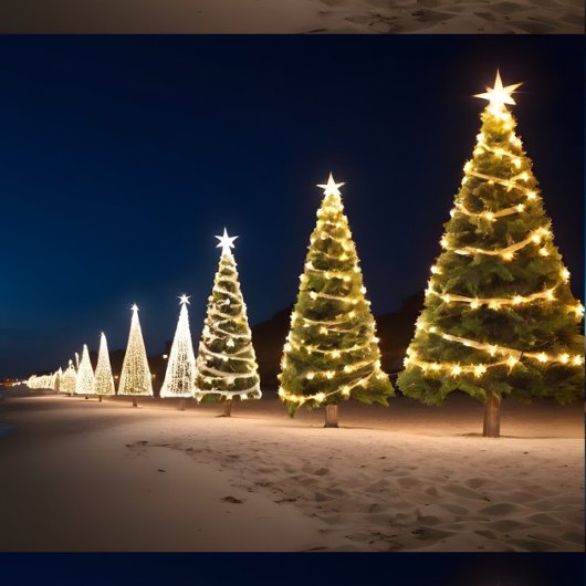 Noël sur la plage Jeu de couverture