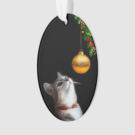 Noël tenté de chat de minou (devant)