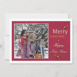 Noël Vacances Joli Carte photo Oiseaux