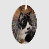 Noël vilain de minou de smoking (devant)