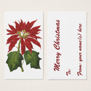 Noël vintage, poinsettia rouge plante d'hiver