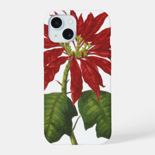 Noël vintage, poinsettia rouge plante d'hiver