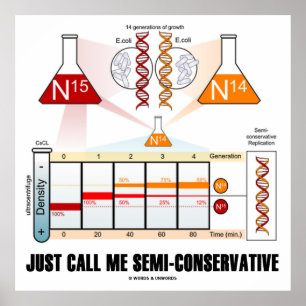 Noem me enkel semi-Conservatief (de Replicatie van Poster
