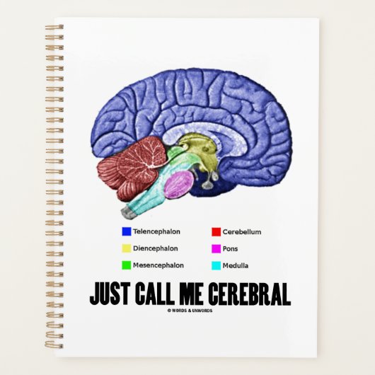 Noem me gewoon Cerebral Brain Anatomie Humor Planner (Voorkant)