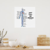 Noem me maar Venous Veins Venous System Poster (Keuken)
