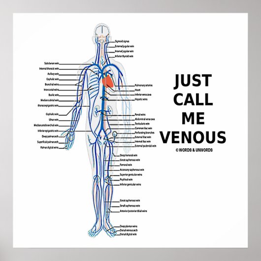 Noem me maar Venous Veins Venous System Poster (Voorkant)
