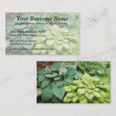 Nog één hosta. visitekaartje (Voorkant / Achterkant)