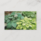 Nog één hosta. visitekaartje (Achterkant)