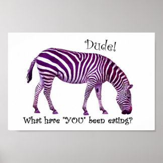 Nog een keer zebra.... poster