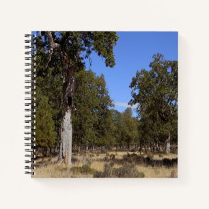 Nog een mooie dag.... notitieboek