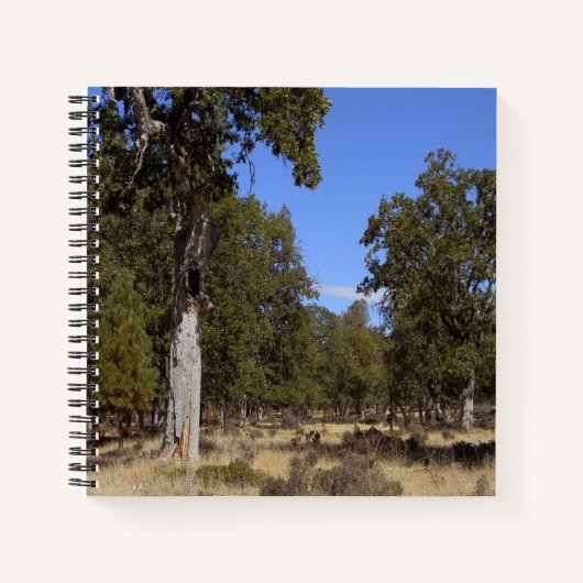 Nog een mooie dag.... notitieboek (Voorkant)