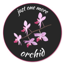 Nog één orchidee