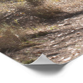 Nog een Poster voor de ochtendpoëzie (Hoek)