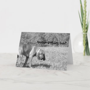 Nog een verjaardag, hè? Hound Dog Birthday Kaart