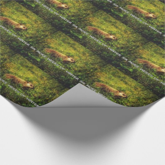 Nog eens zes weken winterverpakkingspapier cadeaupapier (Hoek)