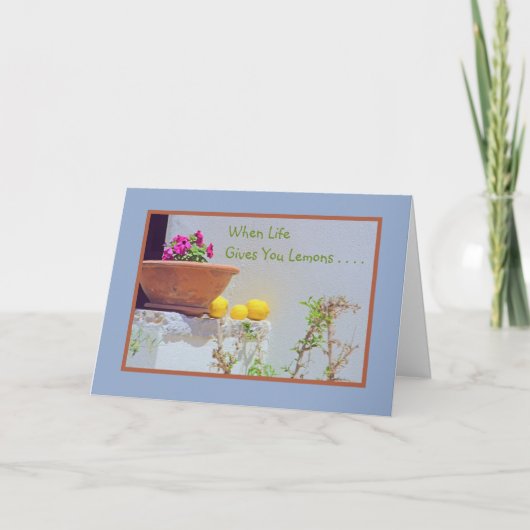 NOG LEVEN/PETUNIAS EN LEMONS/WANNEER HET LEVEN U G KAART (Voorkant)