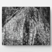 nog levensplek fotoplaat (Voorkant)