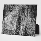 nog levensplek fotoplaat (Zijkant)