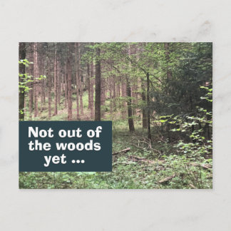 Nog Niet Uit De Problemen Quarantaine In De Natuur Briefkaart