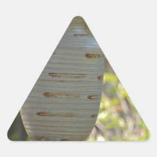 Nog steeds leven driehoek sticker