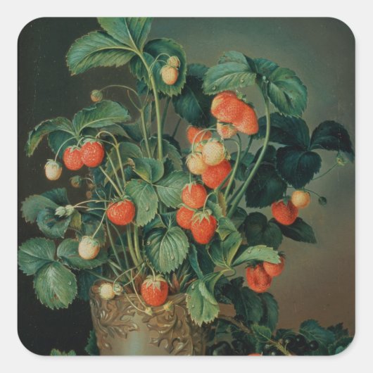 Nog steeds leven met aardbeien vierkante sticker (Voorkant)