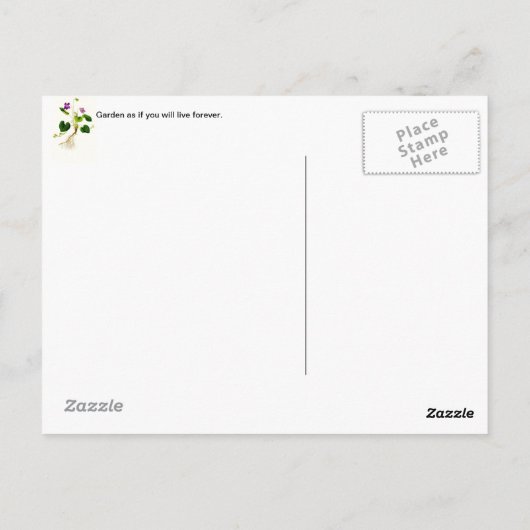 Nog steeds leven met appels briefkaart (Achterkant)