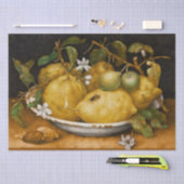 Nog steeds leven met Bowl van Citrons en Fly Garzo Tissuepapier (Craft)