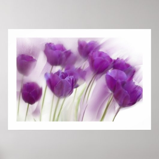 Nog steeds leven op Canvas Poster (Voorkant)