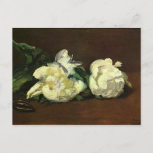 Nog steeds leven, White Peony van Edouard Manet Briefkaart