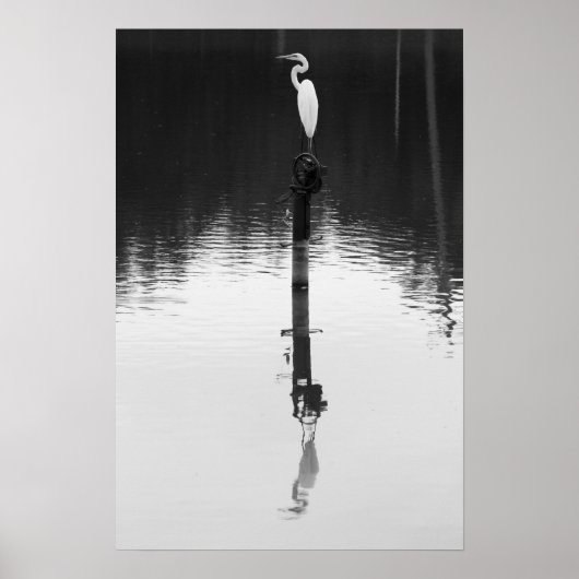 Nog steeds reflectie poster (Voorkant)