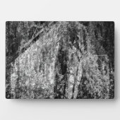 nog steeds thuis fotoplaat (voorkant)