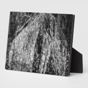 nog steeds thuis fotoplaat