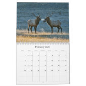 Nog steeds zwervend 2013 kalender (Feb 2026)