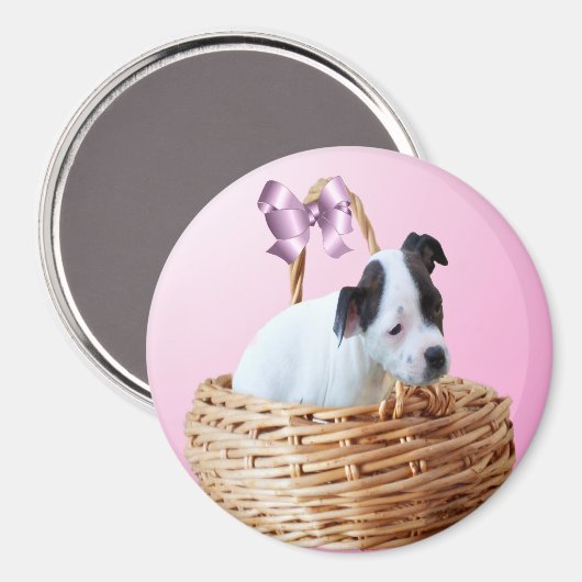 Noir Blanc Staffordshire Chiot, Magnet (Recto/Verso)
