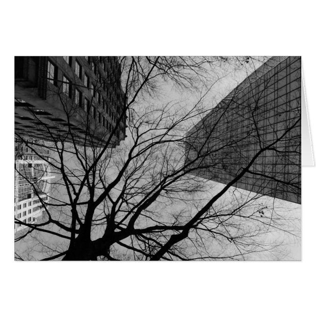 Noir City (Devant horizontal)