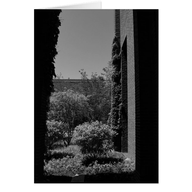 Noir City (Devant)