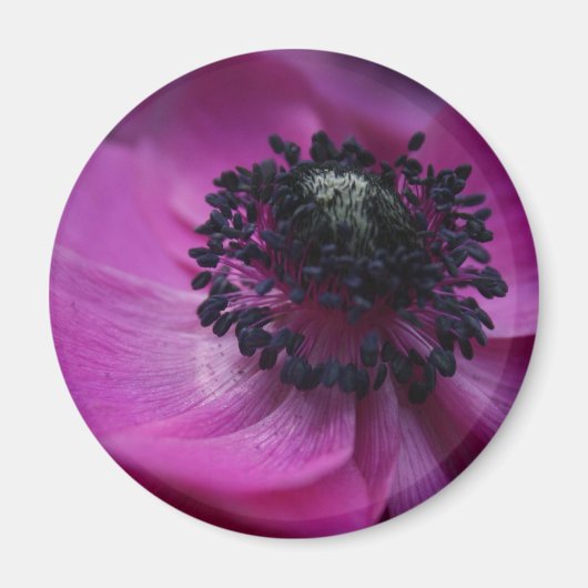Noir coeur Anéone Magnet rond (Devant)