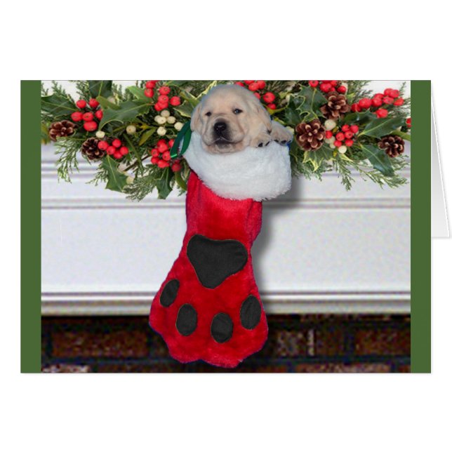 Noir de la semaine 3 de gratitude (Devant horizontal)