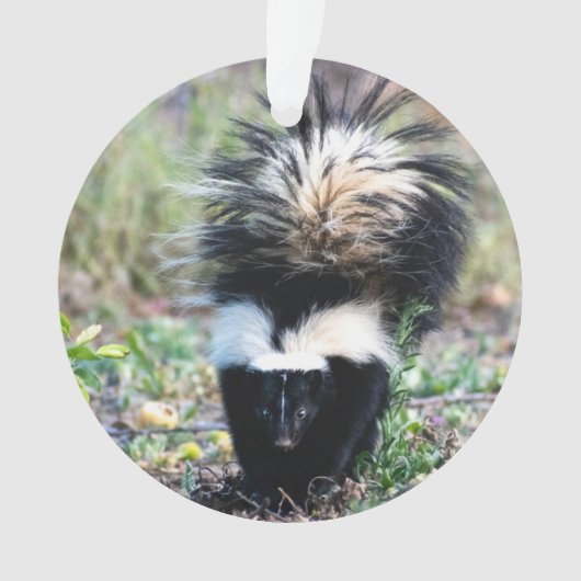 Noir et blanc (devant)