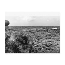 Noir et blanc, photo, carte postale standard