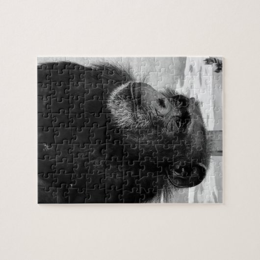 Noir et blanc Singe Singe Singe Jigscie Puzzle Gor (Horizontal)