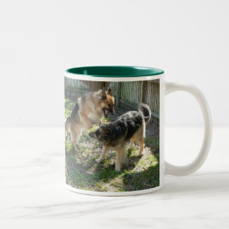 Noir jeu à deux tons de chien de tasse de 11 onces