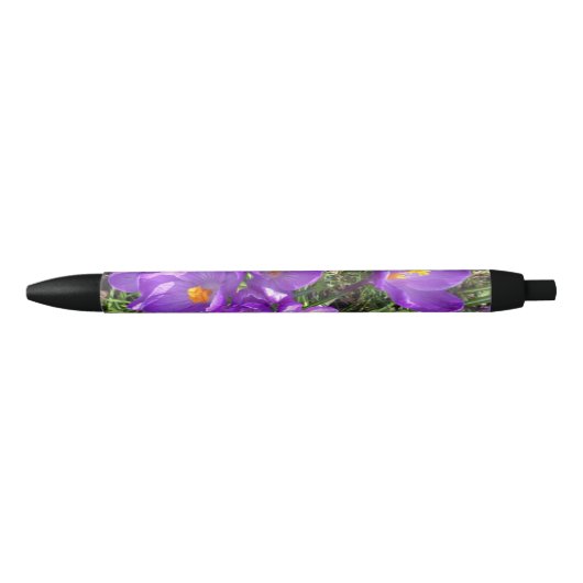 Noir Stylo Crocus pourpre (Devant)