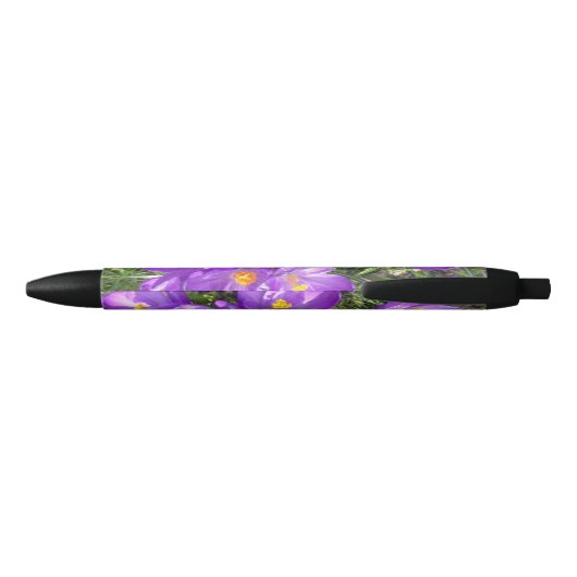 Noir Stylo Crocus pourpre (Dos)