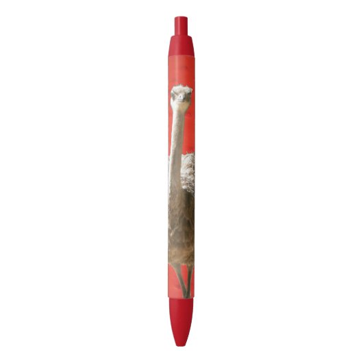 Noir Stylo d'autruche sud-africain (devant Vertical)