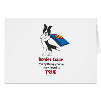 Noir superbe de border collie